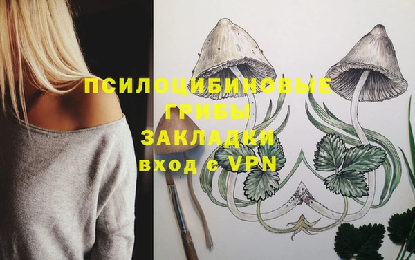герыч Аркадак