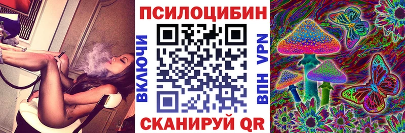 где найти   Белая Холуница  Псилоцибиновые грибы MAGIC MUSHROOMS 